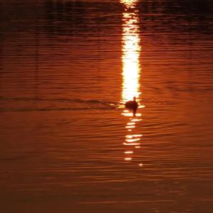 两个男的光屁股互摸jj文
