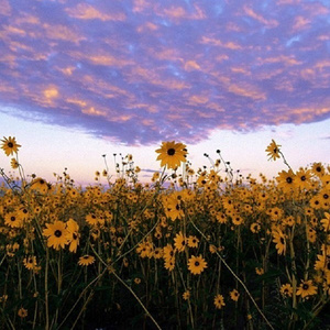 两个男的光屁股互摸jj文
